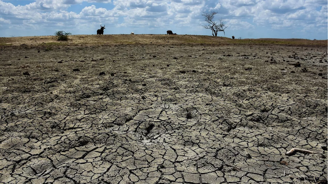 ¿Cómo Impactará la Crisis en el Campo en los Precios de los Alimentos?