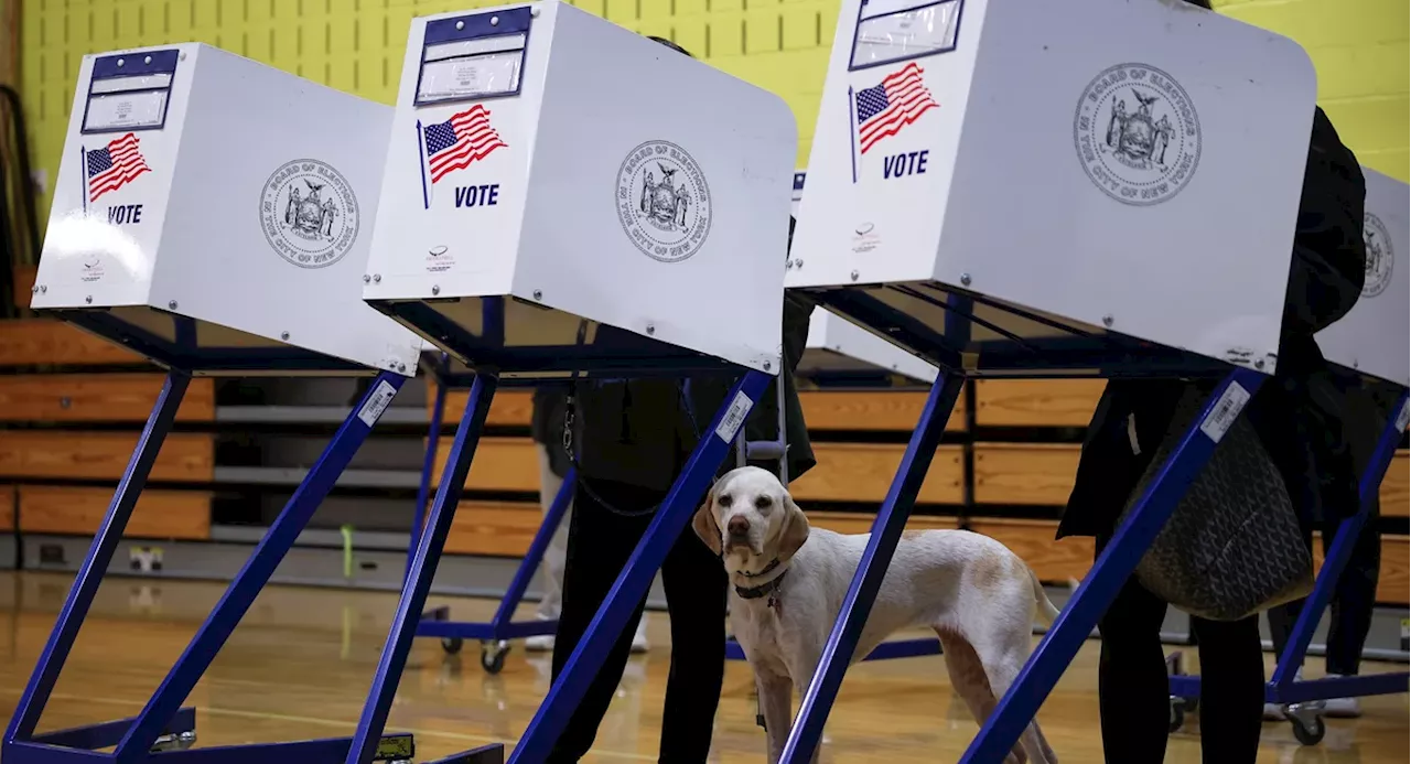 What NYC voters need to know about November's election