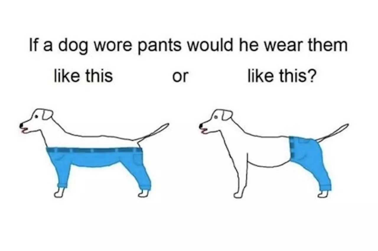 The Last Big Debate of 2015: What Way Would A Dog REALLY Wear Pyjamas?