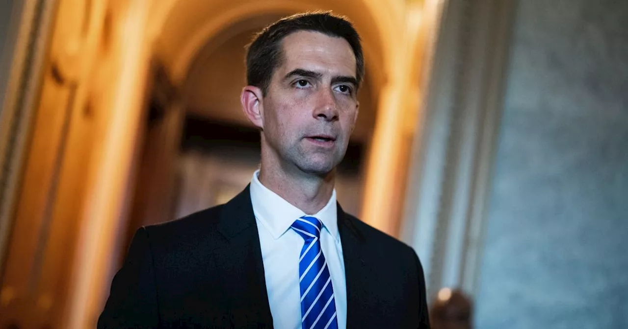 Tom Cotton Says Israel Can ‘Bounce The Rubble’ In Gaza Amid Humanitarian Crisis