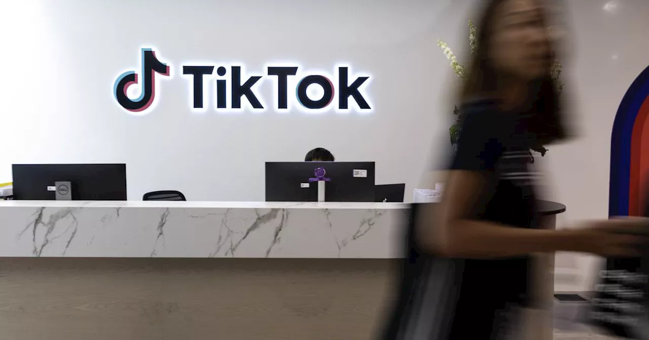 TikTok fights back over €345m DPC privacy fine