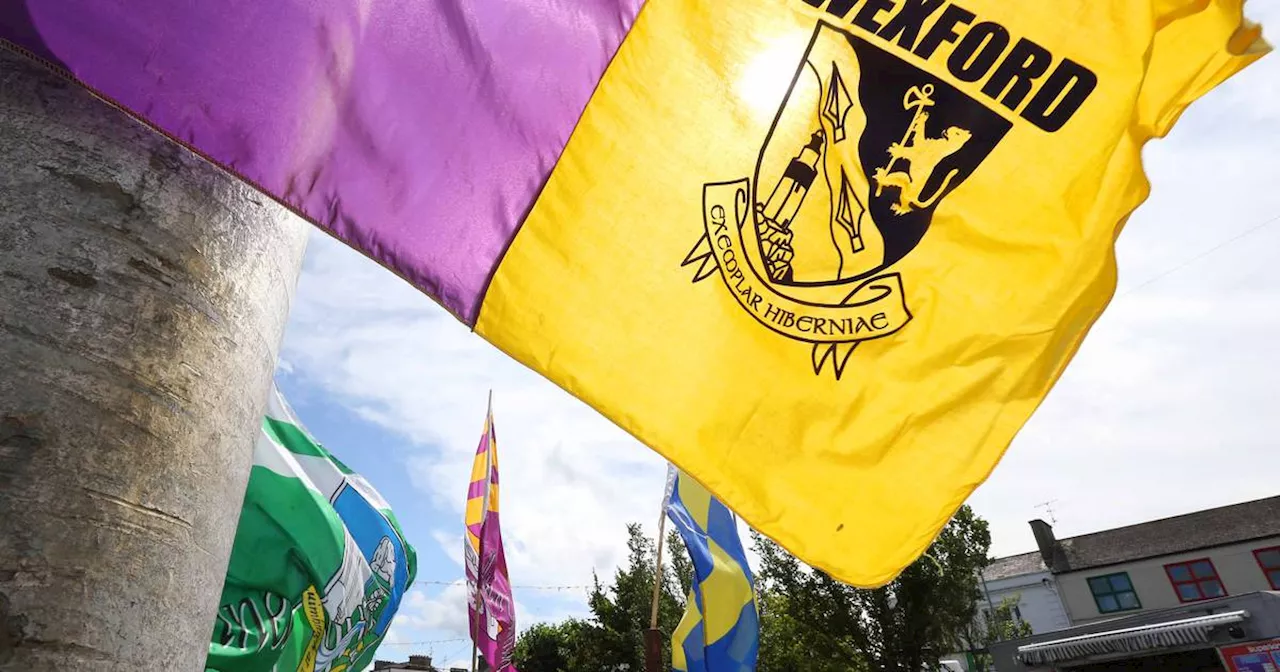 Wexford underage board propose 10-year ban on following alleged threats of referee