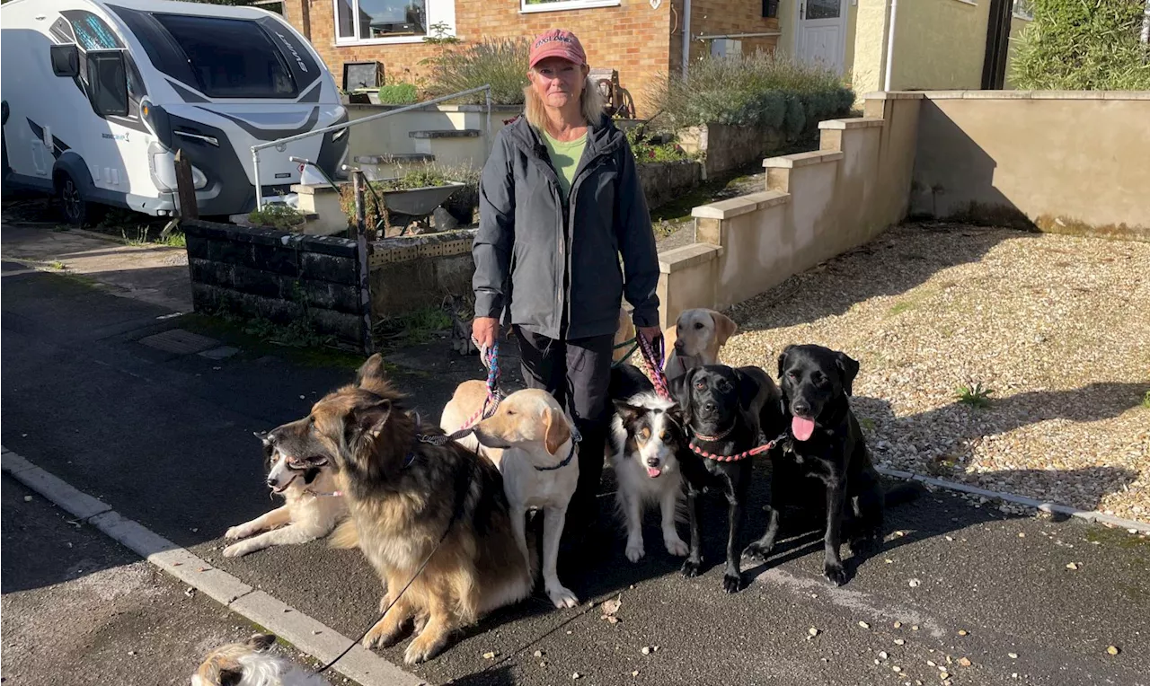 Crufts competitor slams 'ridiculous' limit meaning she can only walk six of her nine dogs at once