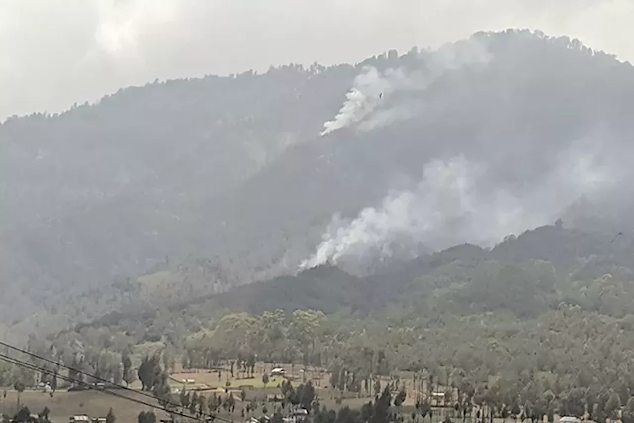 Giliran Semeru dan Argopuro Dilanda Karhutla, Pemadaman Kebakaran Lawu Dihentikan