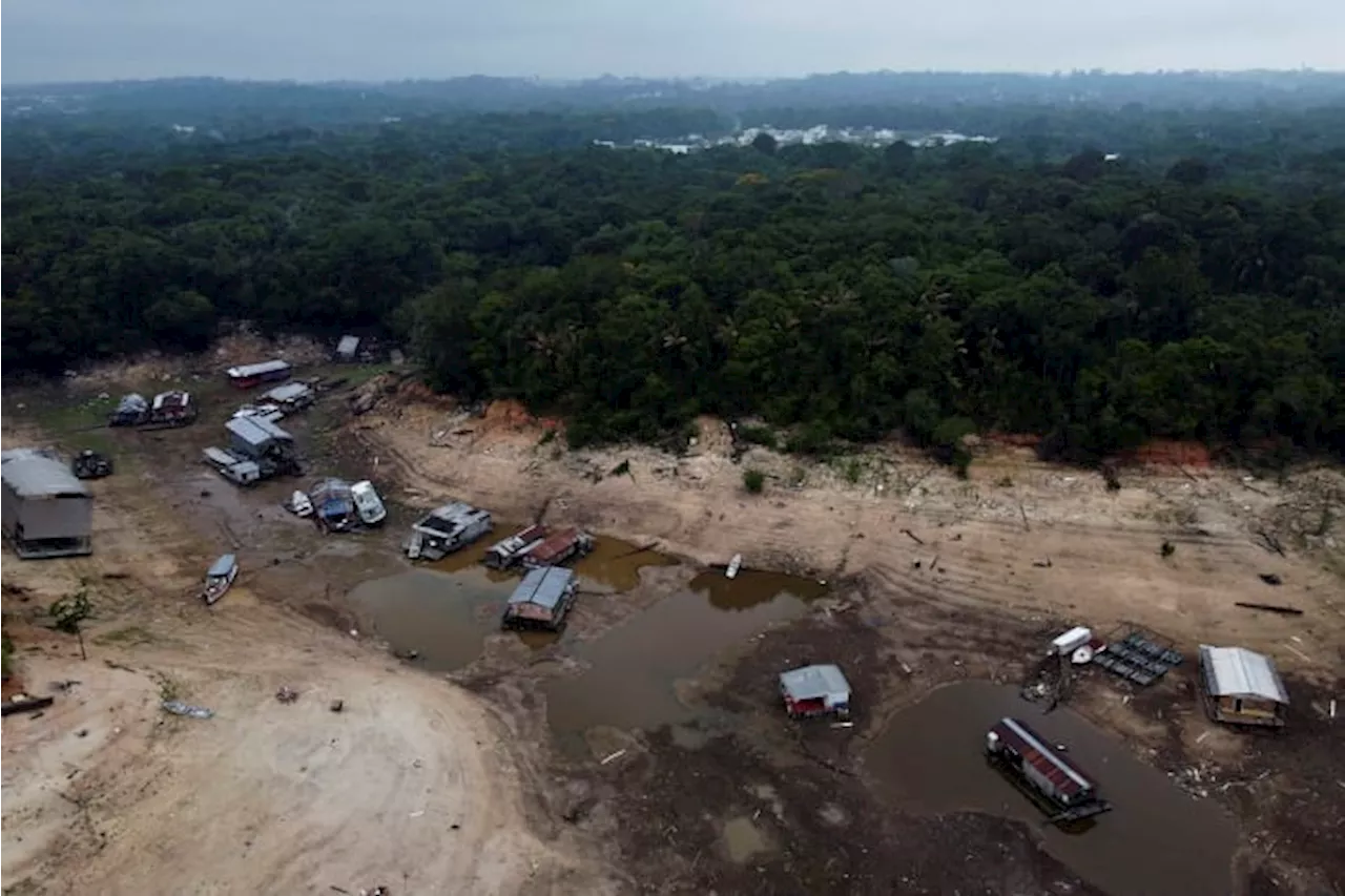 In Brazil's Amazon, rivers fall to record low levels during drought