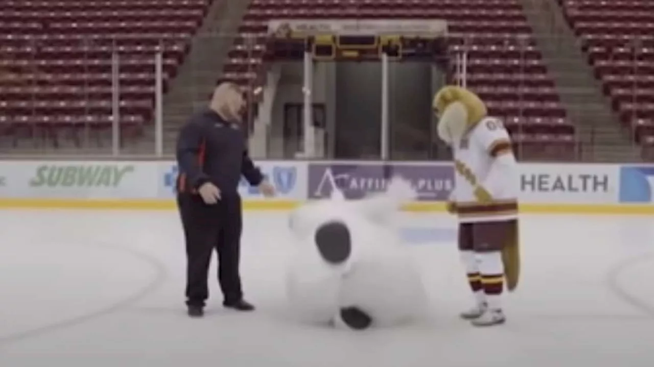 Have You Seen This? Bear mascot never gives up