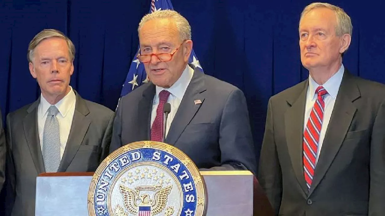 Senate leader Schumer says chamber will rush through military aid to Israel