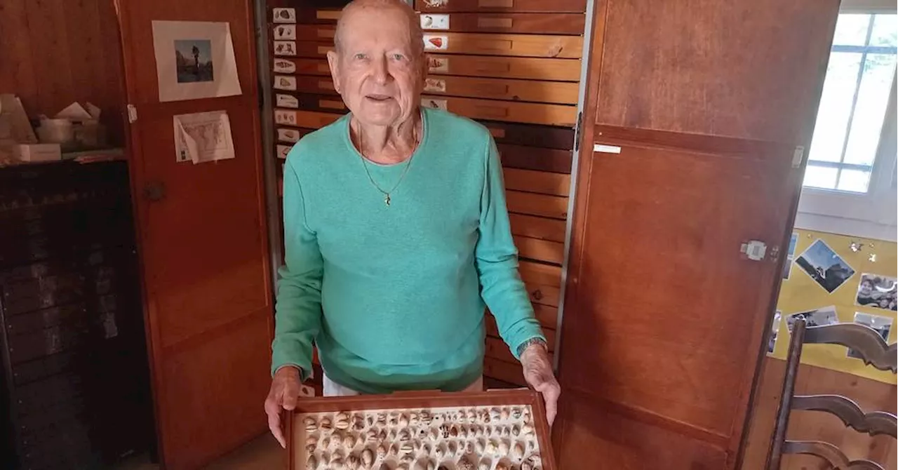 Manosque : fruit de quinze ans de collecte, une collection de plus de 5500 coquillages à céder gratuitement