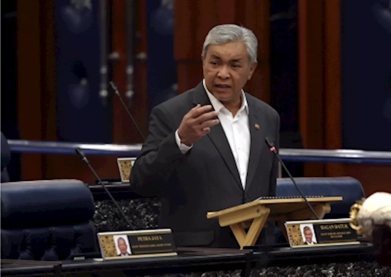 DPM Zahid: Govt approves 4,839 hectares of land in Sabah, Sarawak for paddy cultivation