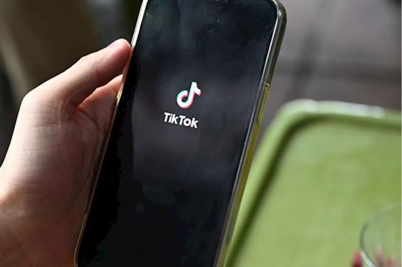 TikTok Gandeng LSM dan Media untuk Lawan Hoaks Jelang Pemilu 2024