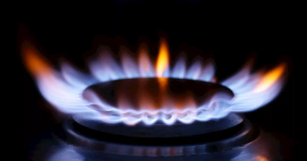 Full list of suppliers taking part in the energy discount scheme