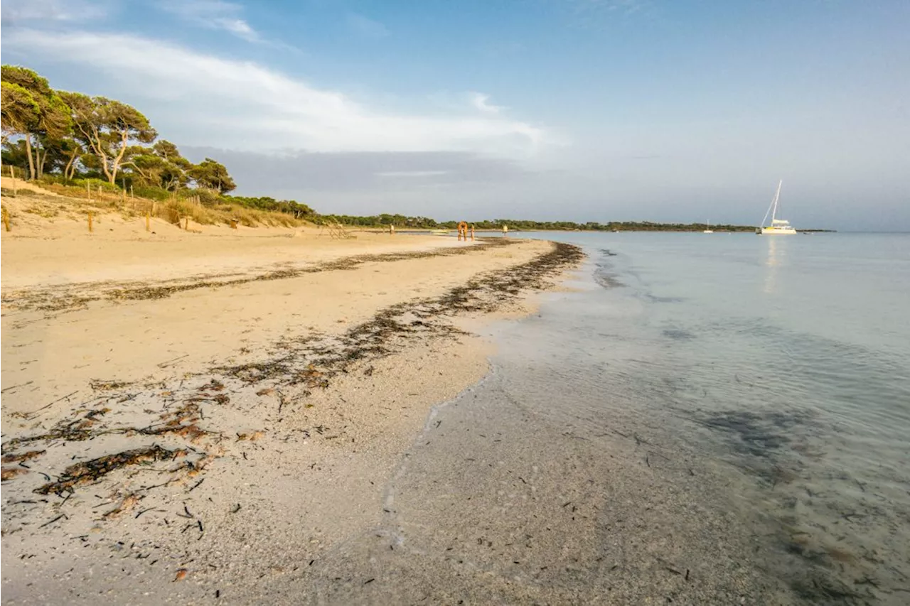 Why South Africans are buying offshore properties