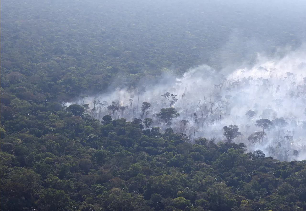 Record wildfires and drought hit the Amazon, drying up rivers and smothering Brazil in smoke