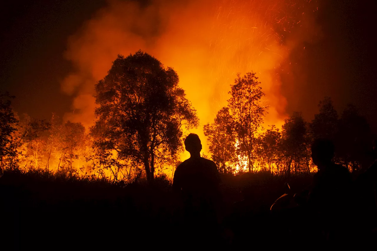 Southeast Asia haze returns as peatland fires fan global warming fears