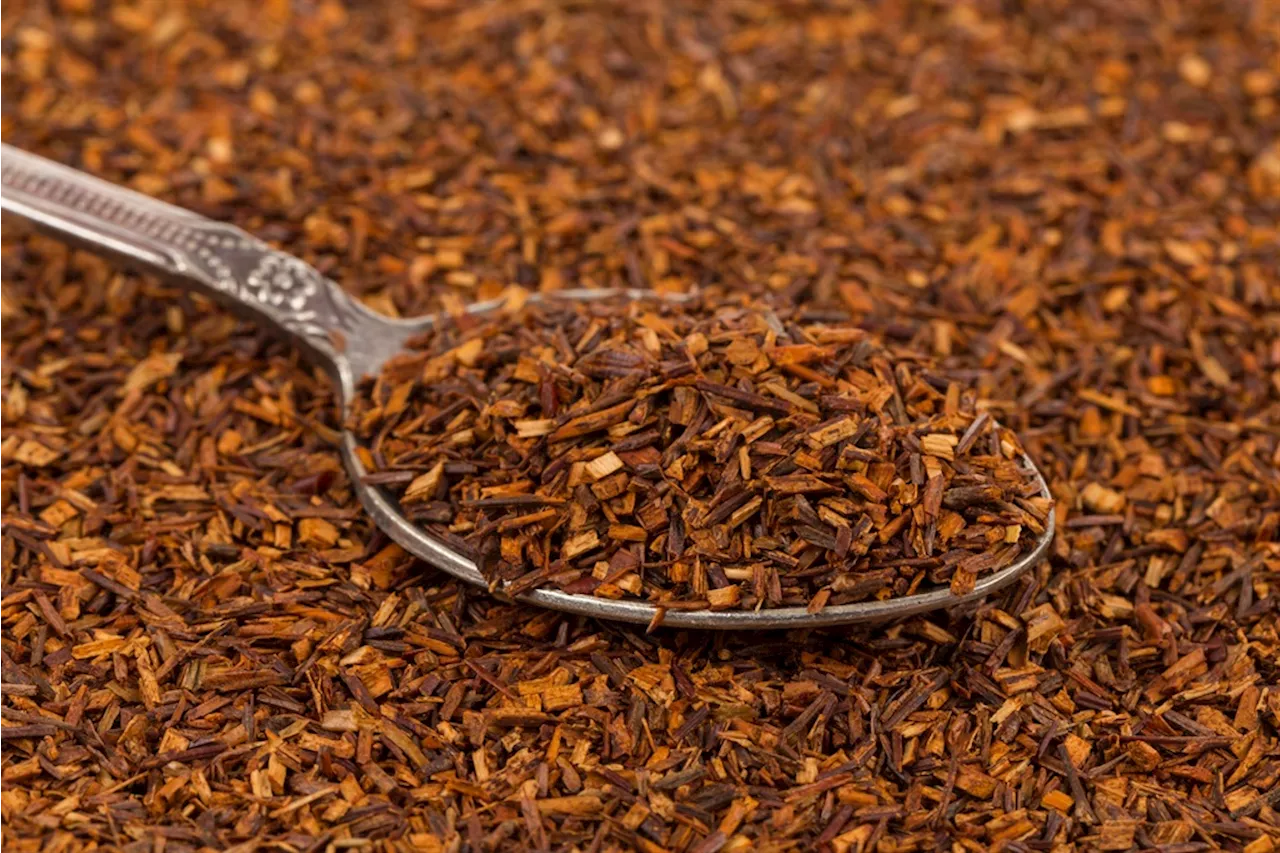 BAT uses nicotine-infused rooibos instead of tobacco to counter upcoming ban