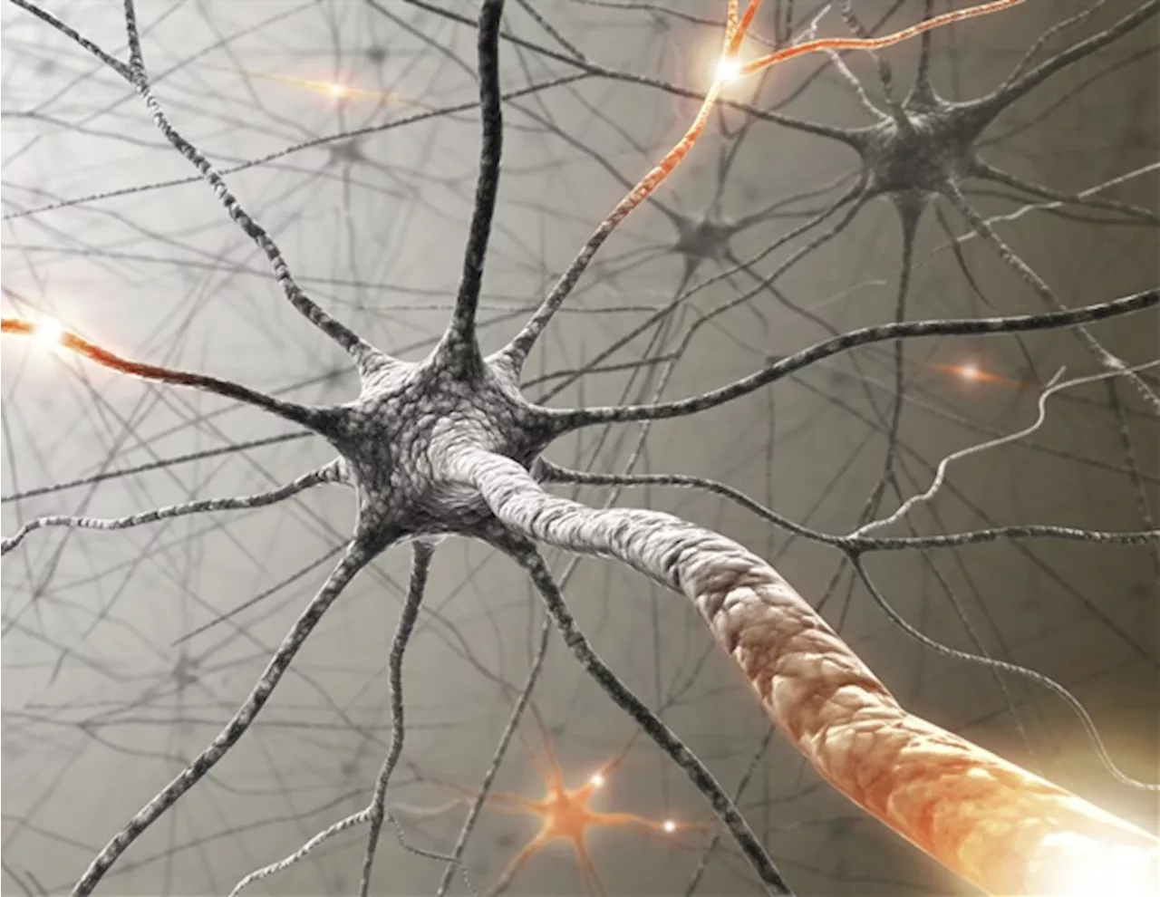 Researchers identify new biomarker to predict neuronal regeneration after injury