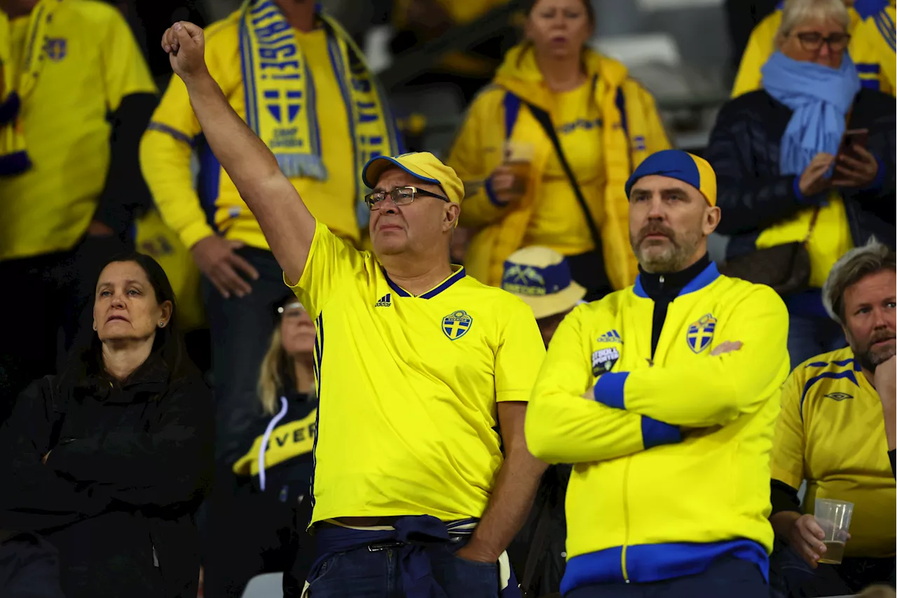 Belgium-Sweden Soccer Match Suspended After Deadly Shooting Near Stadium