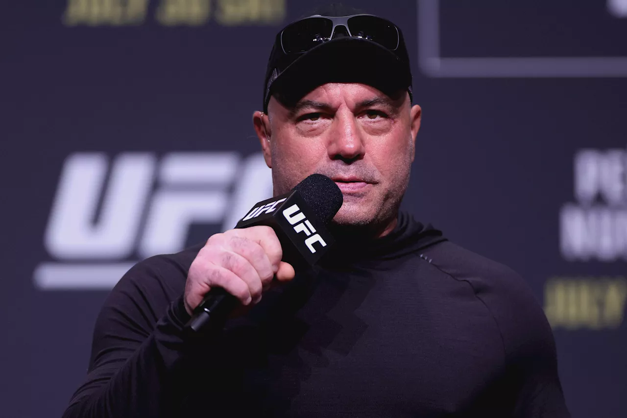 Joe Rogan Warns About Transgender UFC Fighters: People Will Get 'Murdered'