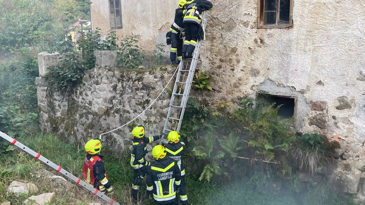 41 Floriani bei Übung im Einsatz