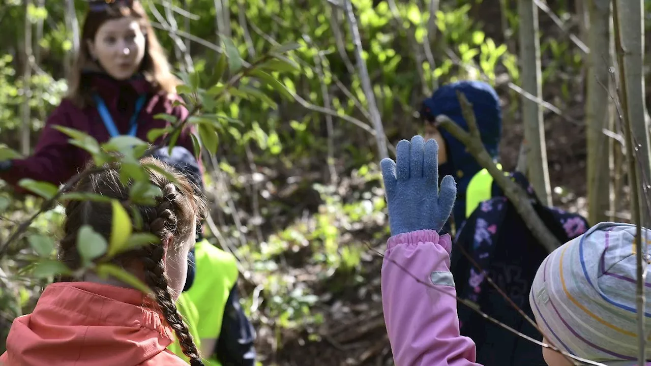 Lernen für die Welt von morgen: So könnte Schule für krisenfeste Kinder aussehen