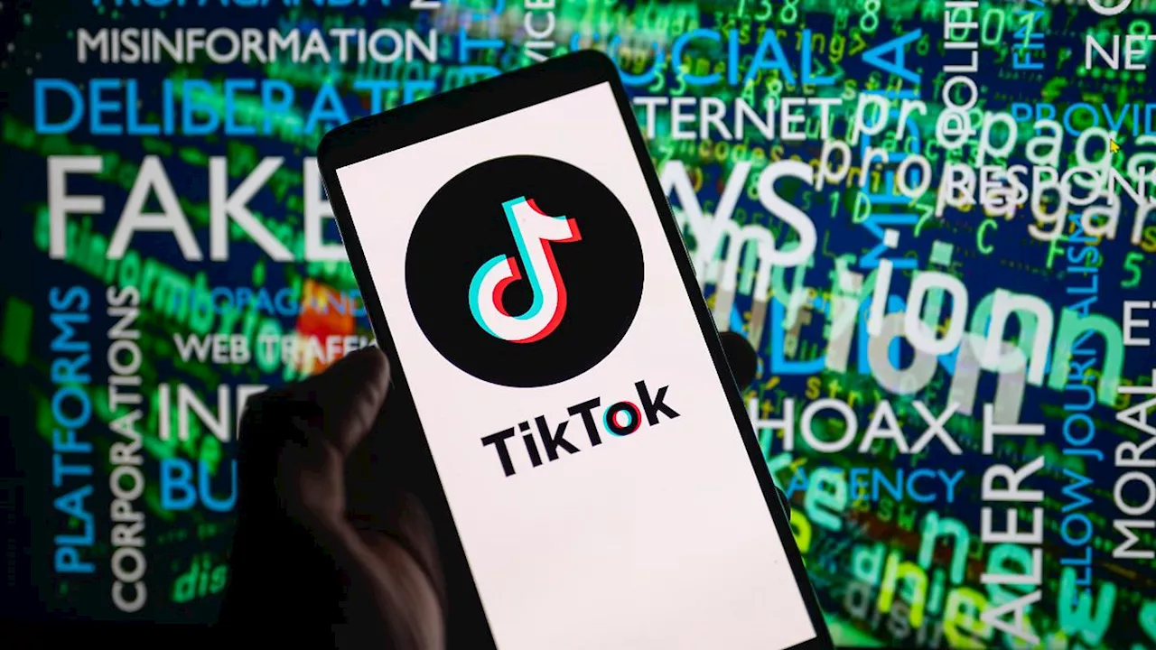 Verstöße gegen Richtlinien: Tiktok löscht halbe Million Videos zum Israel-Krieg