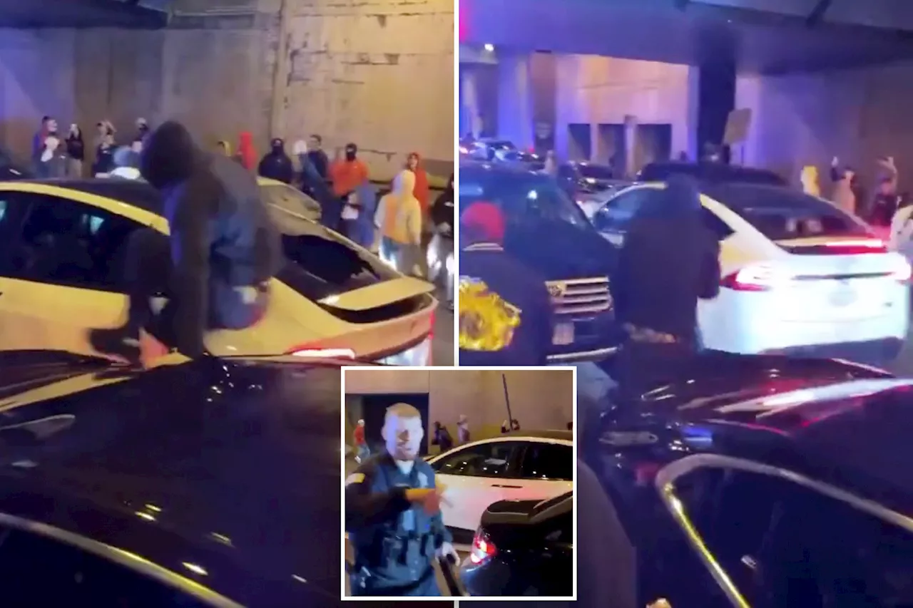 Shocking video shows moment Tesla is attacked by teen mob in Chicago