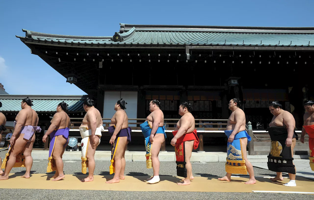 Sumo wrestler group too heavy to fly, airline books them own 'special flights'