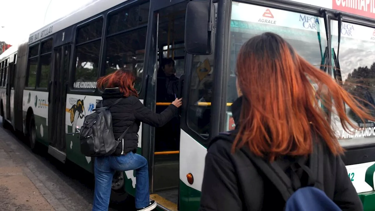 Las claves para la renuncia voluntaria al subsidio del transporte público