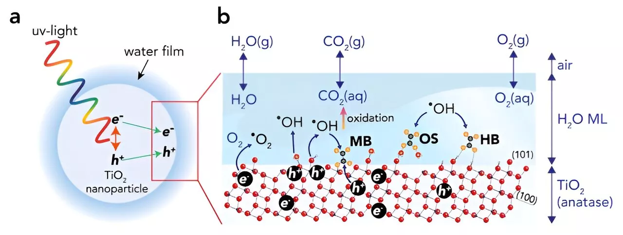 Water films: The silent architects of chemical transformations