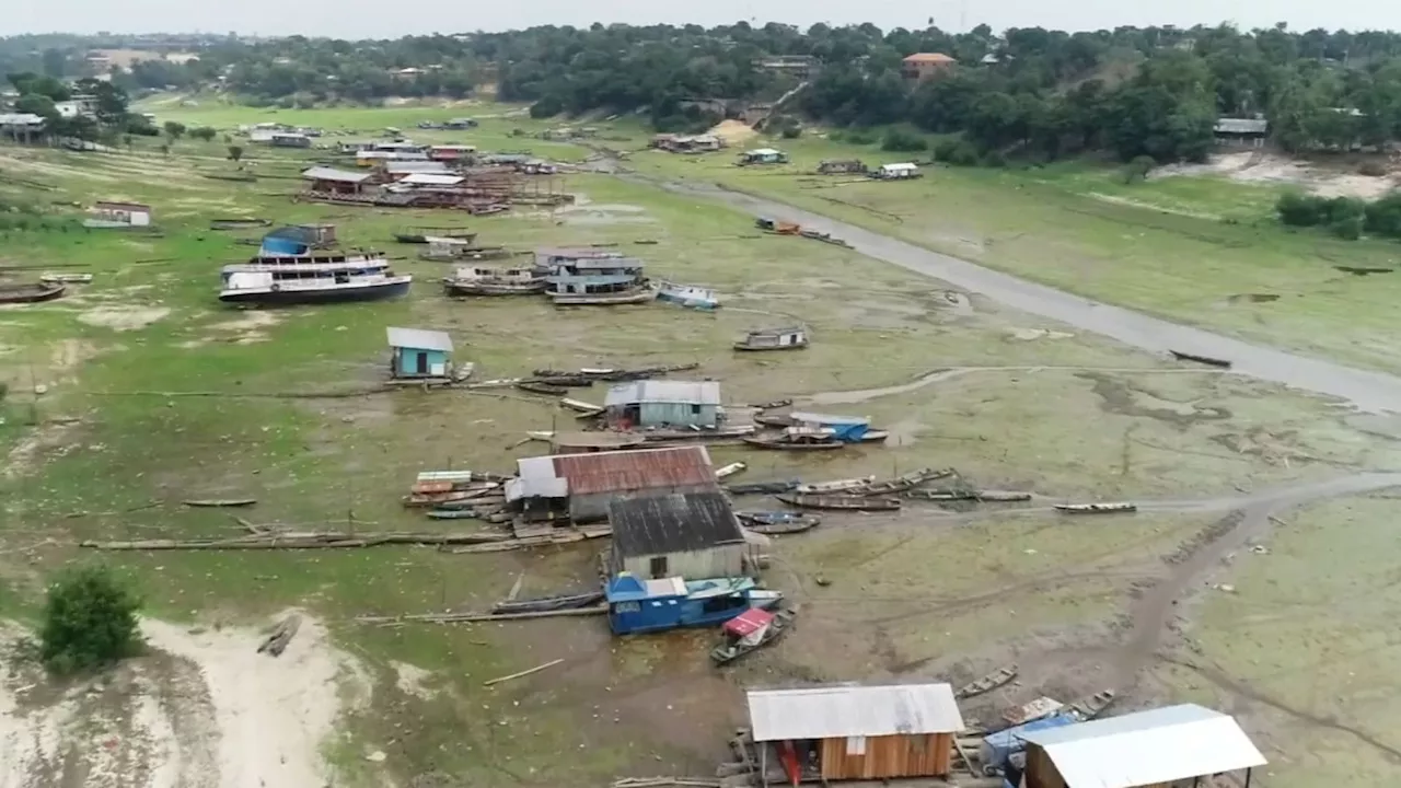 Seca no Amazonas: nível do Rio Negro atinge menor nível em 120 anos em Manaus