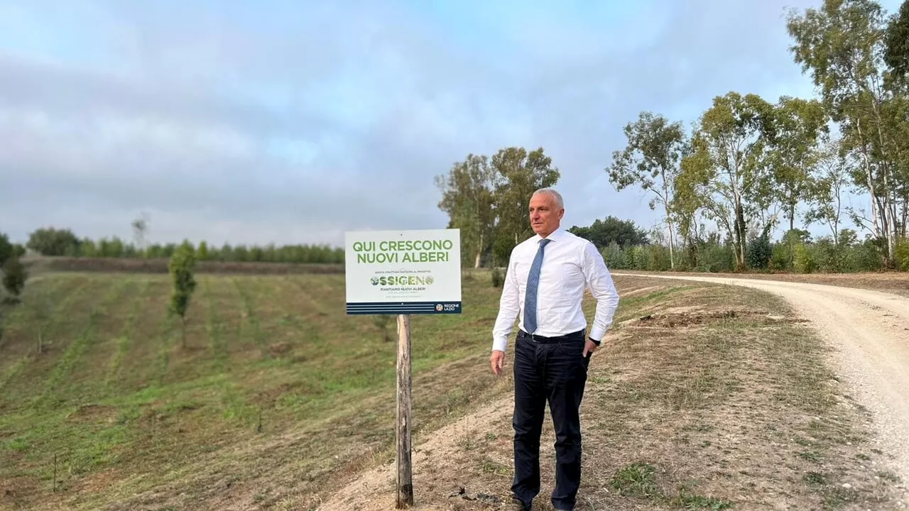 Più alberi per un'aria pulita nel Lazio: l'intervento di CREA nel progetto Ossigeno