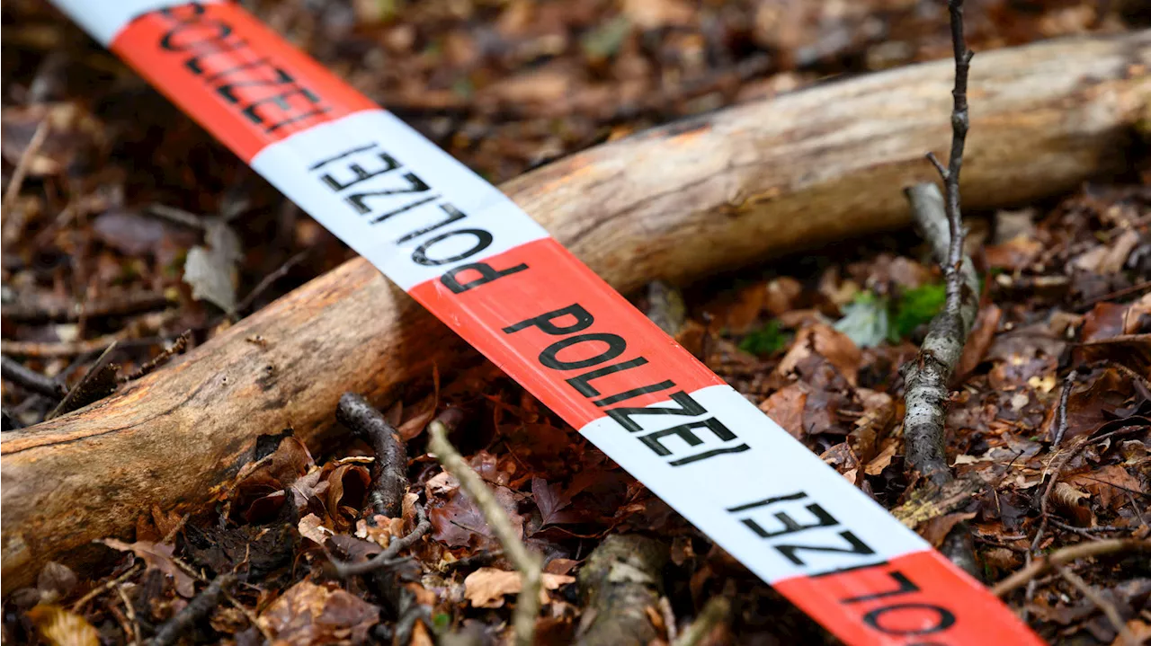 Horrorfund im Wald bei Hannover: Pilzsammler finden Menschen-Knochen bei Großburgwedel