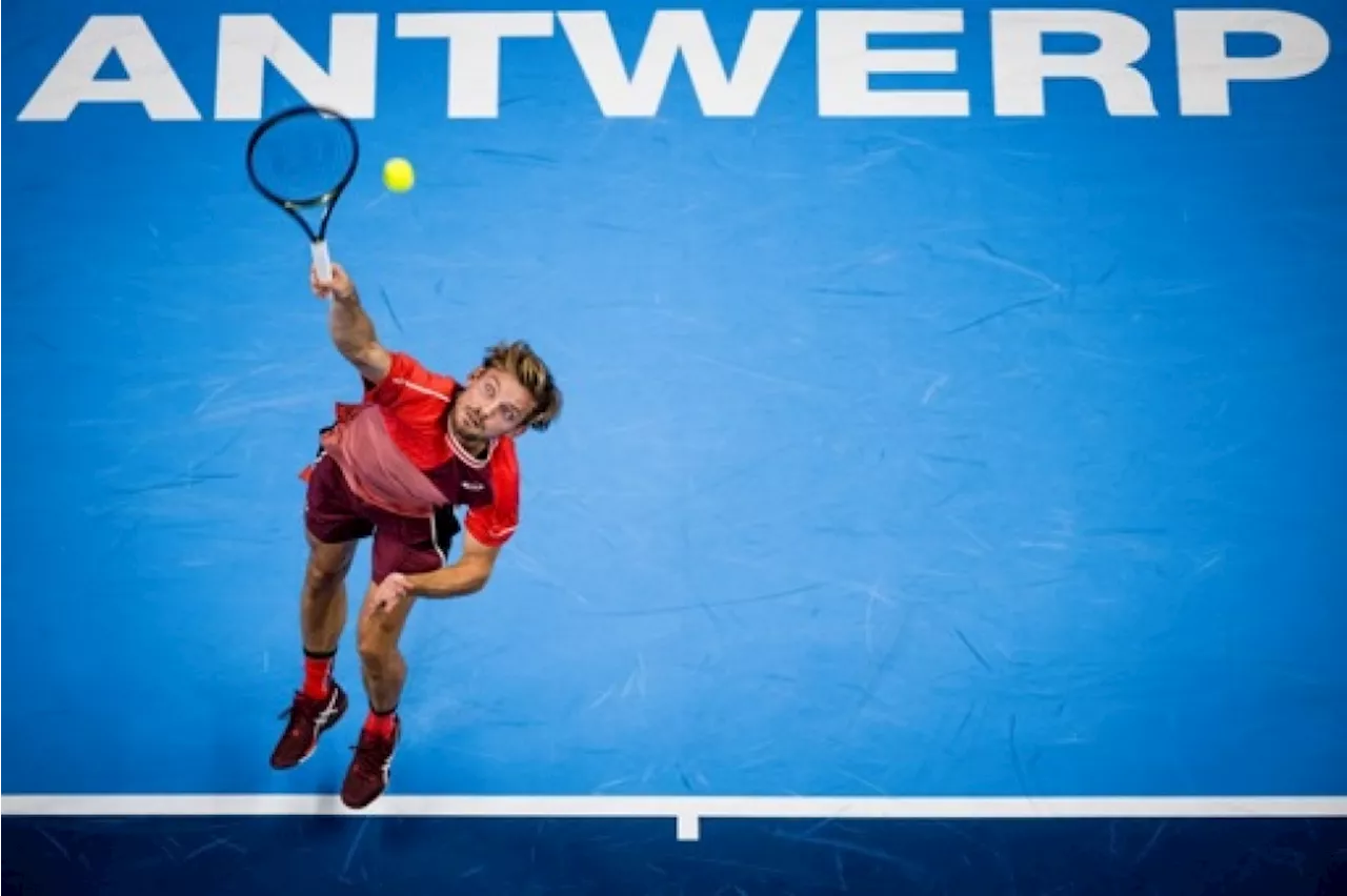 David Goffin renoue avec le succès sur le circuit ATP