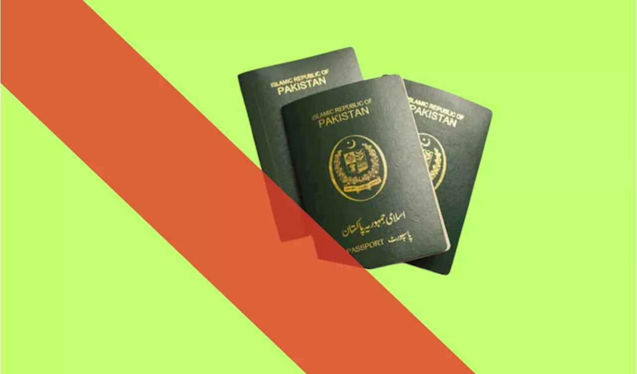 Committee to probe Saudi Arabia fake passports scandal notified