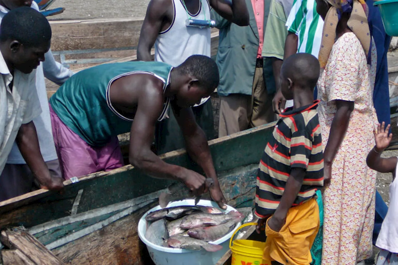 Kenya’s Lake Victoria floods leave orphaned children to run their households