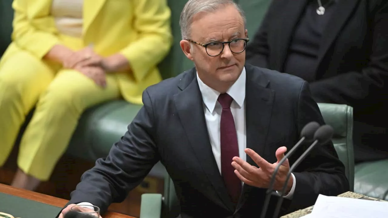 Anthony Albanese says Hamas has hurt both innocent Israelis and Palestinians