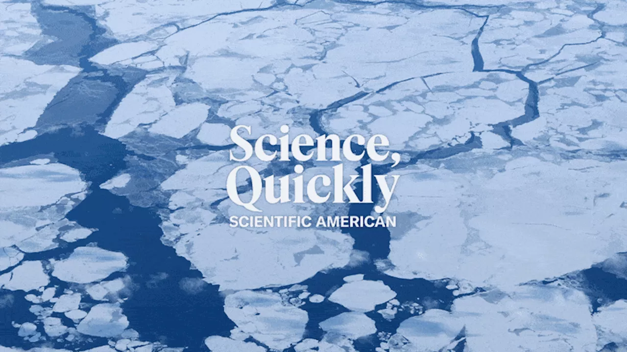 As Arctic Sea Ice Breaks Up, AI Is Starting to Predict Where the Will Pieces Go