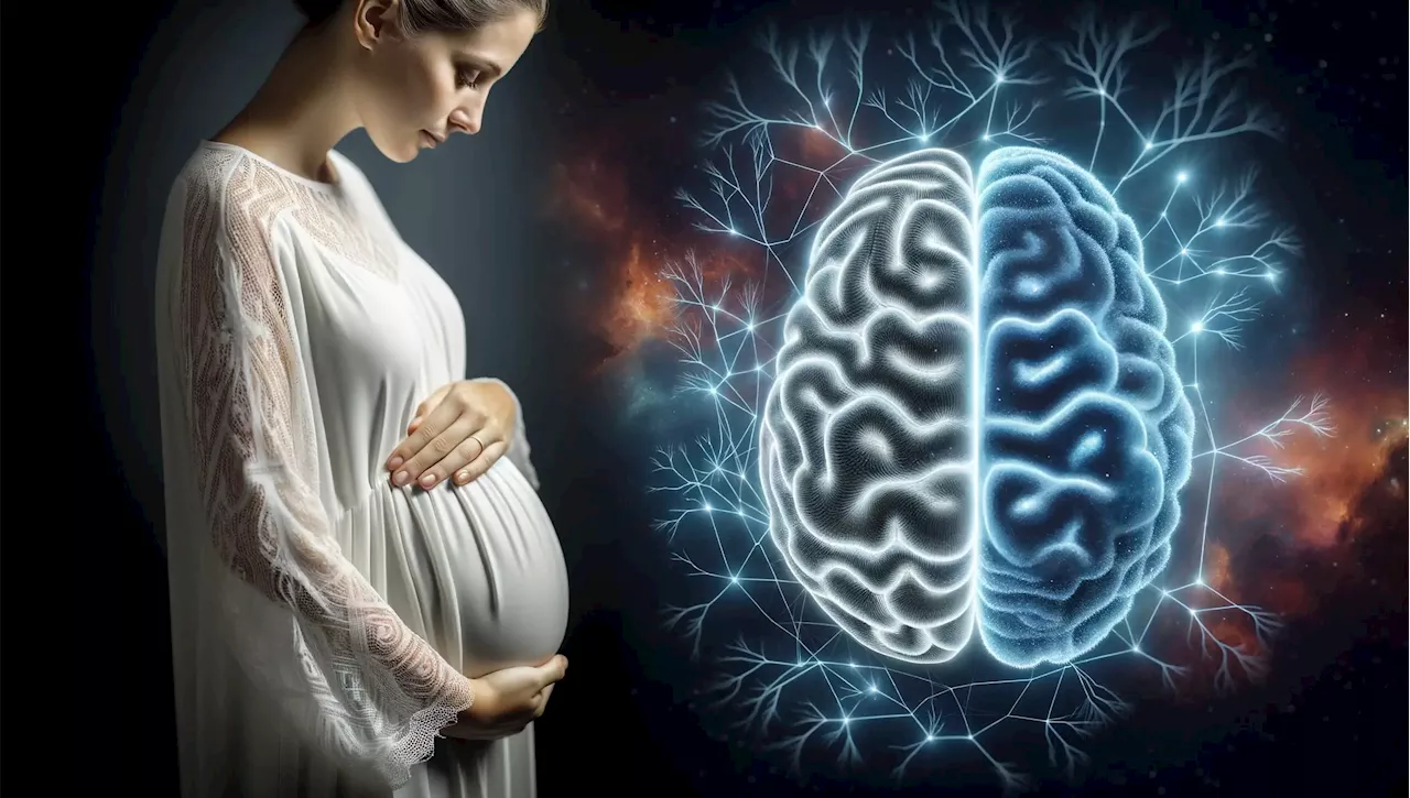 The Motherhood Makeover: How Pregnancy “Rewires” the Brain