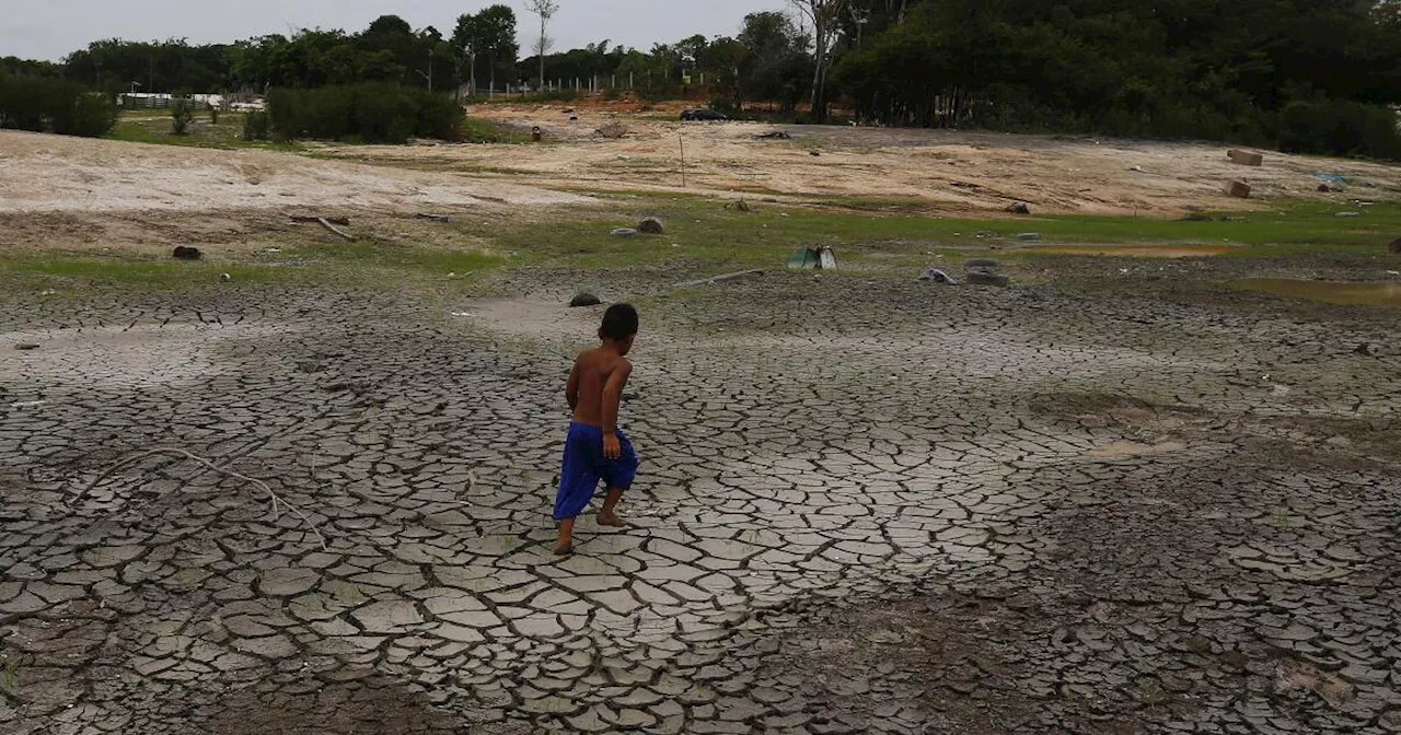 In Brazil's Amazon, rivers fall to record low levels during drought