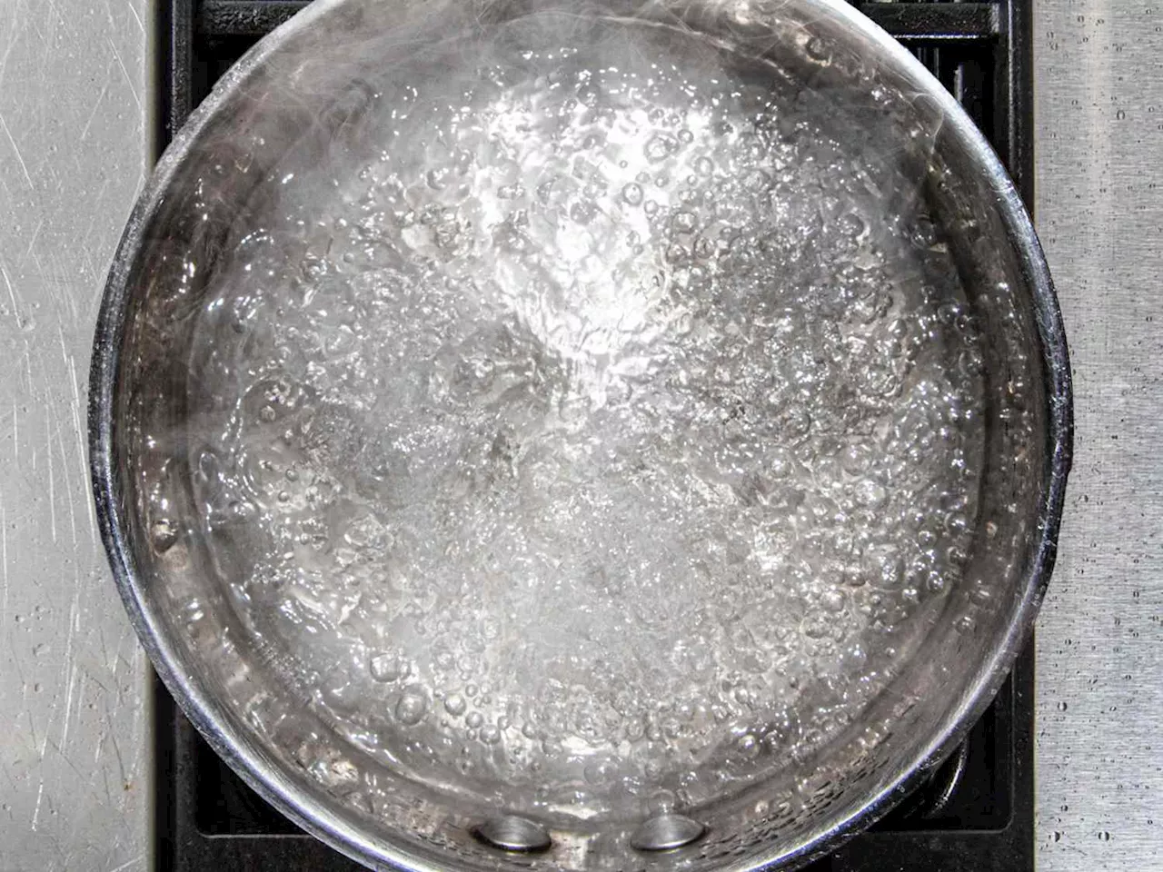 Everything You Ever Wanted to Know (Plus More!) About Boiling Water