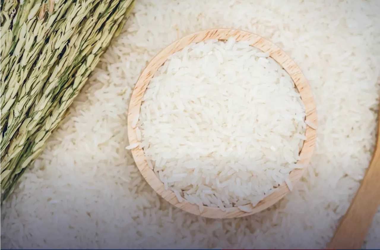 Rice exports expected to be on track as harvest approaches
