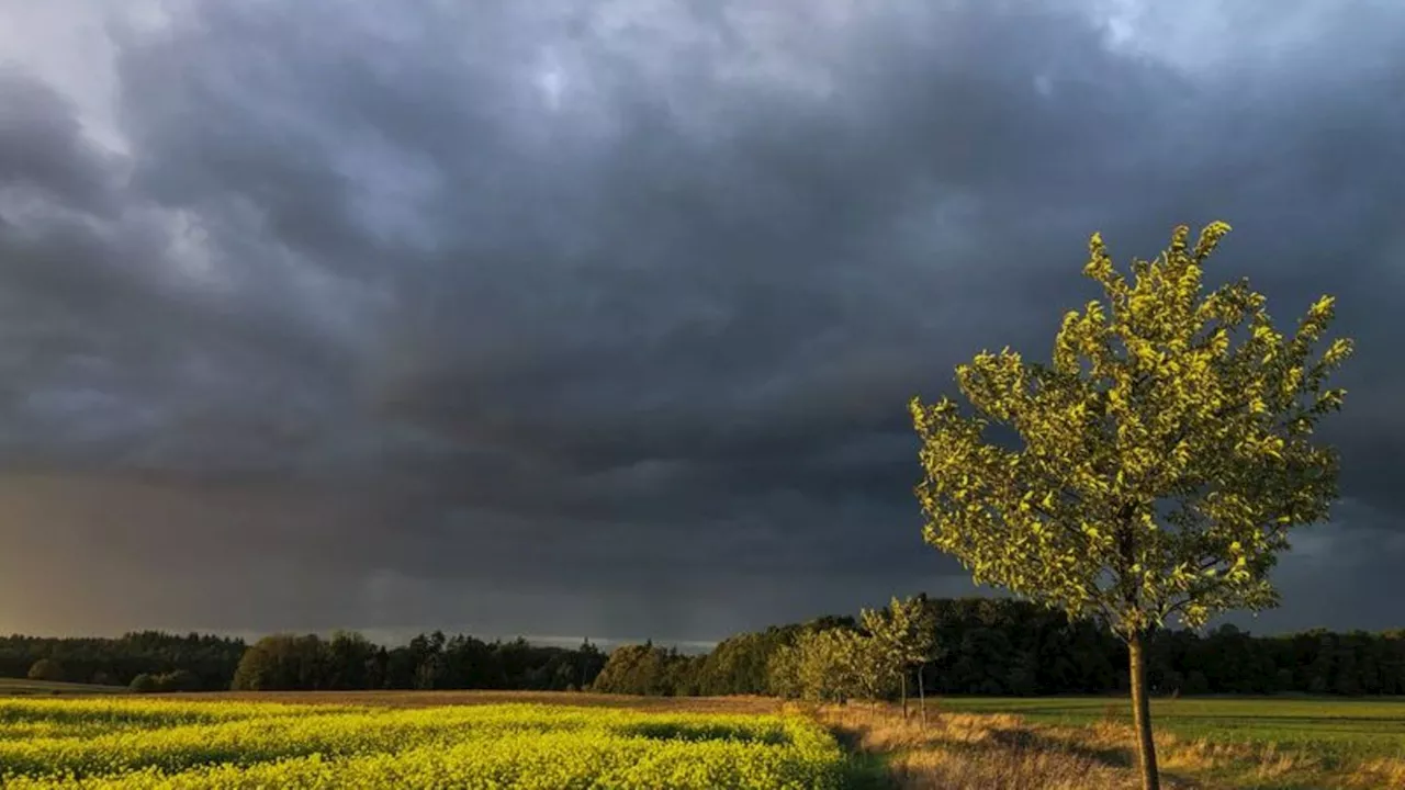 Wetter: Herbstwetter zum Wochenstart - nachts Minusgrade möglich