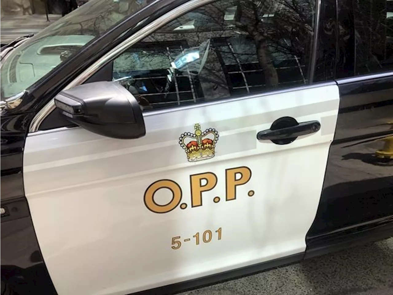 Provincial carjacking task force to be co-led by OPP, Toronto police