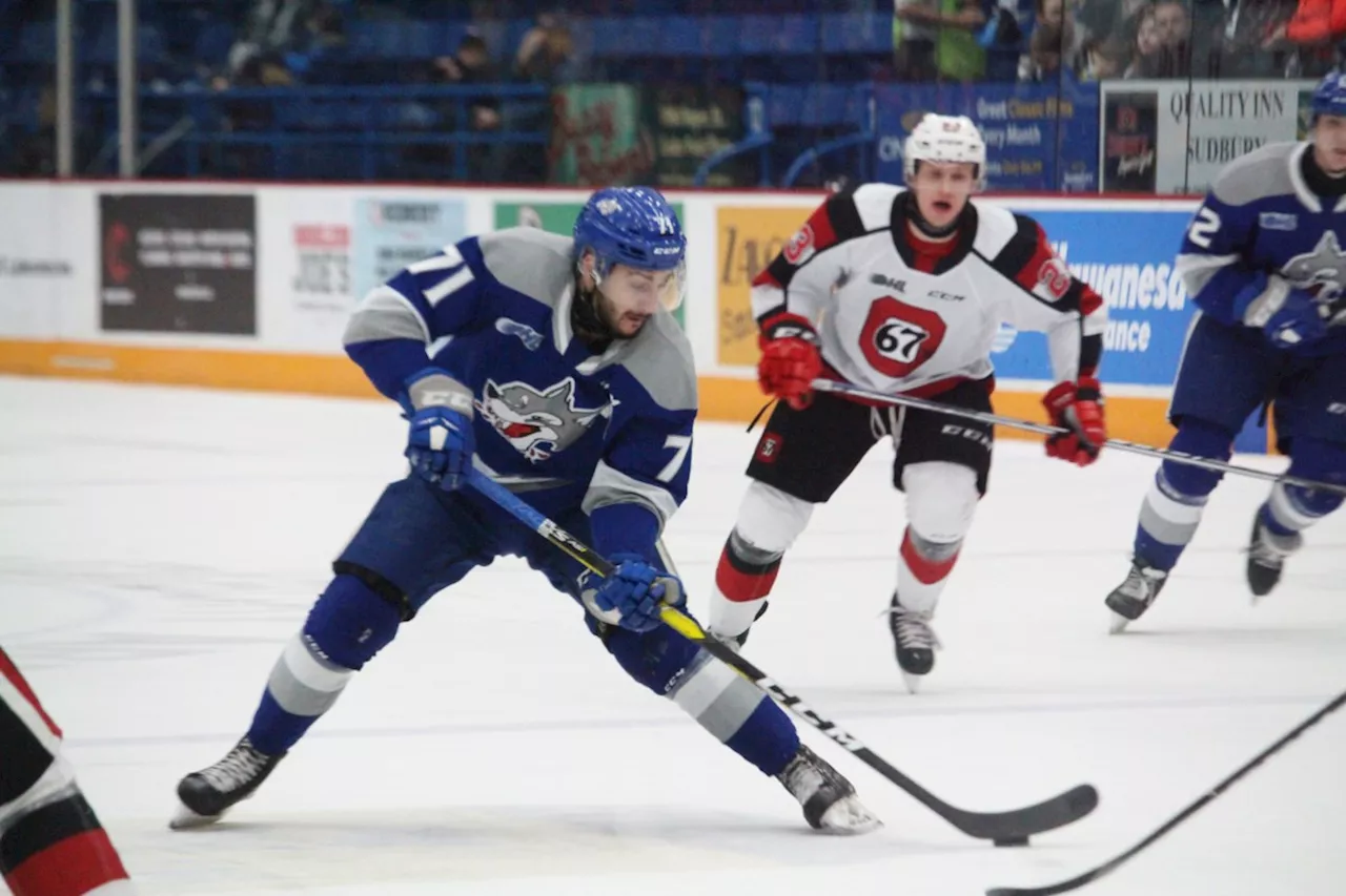 Wolves fall to the Ottawa 67s on home ice