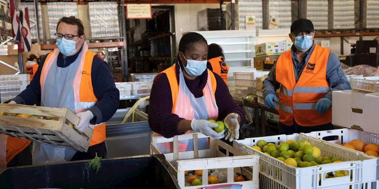 Solidarité : les associations contraintes de jeter 16% des dons alimentaires venant des supermarchés