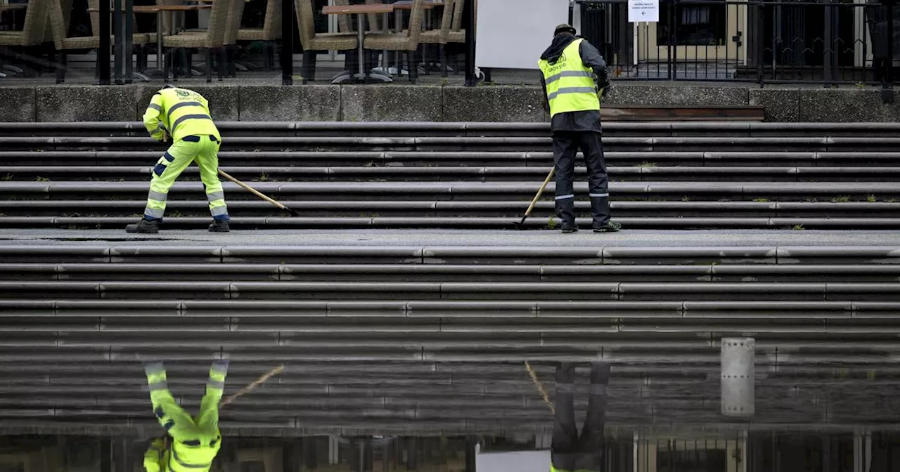 De kräver samma lön som migrantarbetare