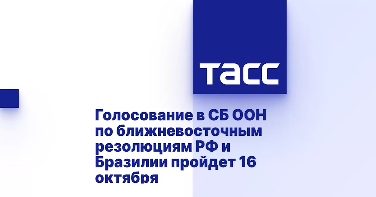 Голосование в СБ ООН по ближневосточным резолюциям РФ и Бразилии пройдет 16 октября