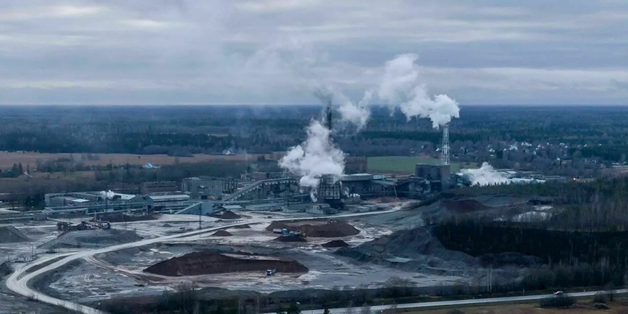 Erfolg für Fridays for future: Sieg bei Klimaklage in Estland