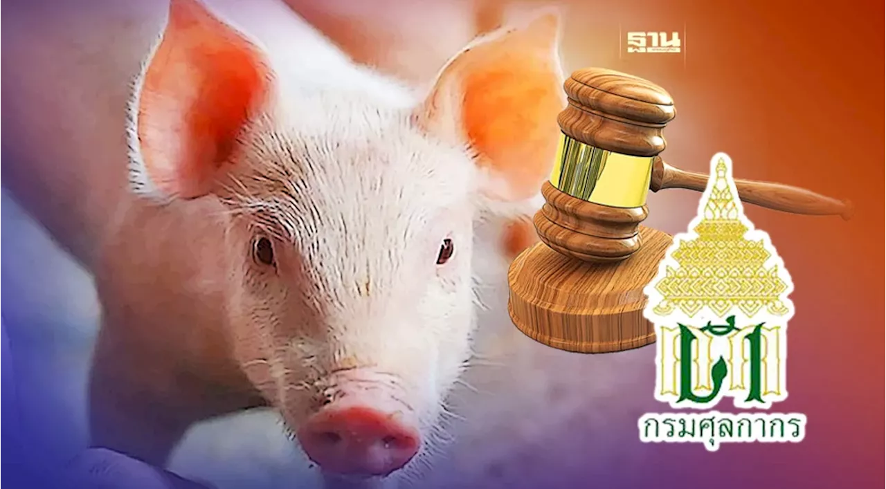 ศุลกากรรับลูก “เศรษฐา” เข้มตรวจหมูเถื่อน พร้อมลงโทษสูงสุด