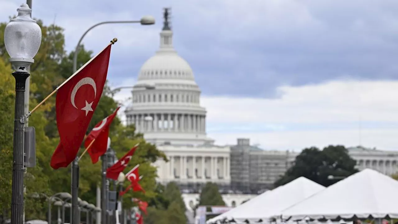 Turkish festival in US enchants visitors through vibrant cultural atmosphere